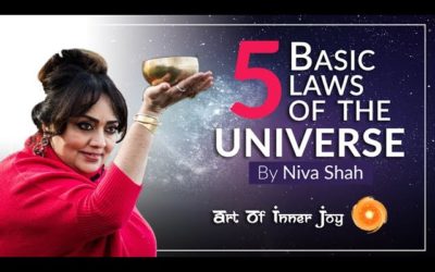 The 5 Basic Laws Of The Universe (Reality Transurfing)